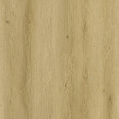 Sense - SPC EXL530 Serie EXLargo (Klik PVC)
