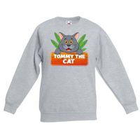 Katten dieren sweater grijs voor kinderen - thumbnail