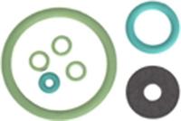 Ad drukpompverstuiver "ct 02" seal kit viton fkm f. brakesprueher