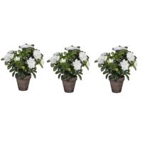 Mica Decorations Kunstplant - 3x - Azalea - groen/wit - 27 cm - Met mooie bloemen