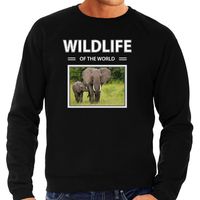 Olifant sweater / trui met dieren foto wildlife of the world zwart voor heren