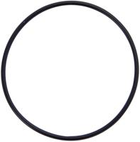 Piaggio OEM Afdichting seal float chamber dellorto