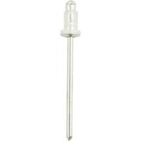 KS Tools 420.5782 Afdichtklinknagel met 6,2mm flens voor Toyota,50verpakking