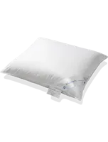 Vandyck hoofdkussen Kapok Silver