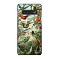 Haeckel Trochilidae: Samsung Galaxy S10 4G Volledig Geprint Hoesje