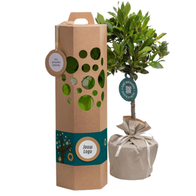 Zakelijk boompje Zakelijk boompje