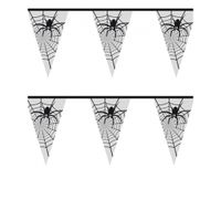 Halloween spinnenweb vlaggenlijn 6 meter - thumbnail