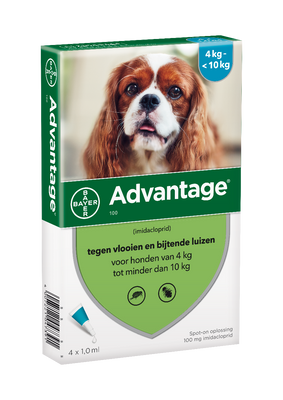 Advantage Hond 100, 4 - 10 kilo 4 pipetten