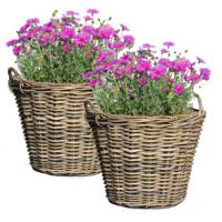 Mega Collections Planten of bloemen mand - 2x - D42 x H31 cm - rond - rotan gevlochten - bloempot