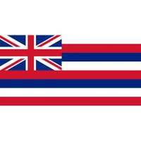 Vlag Hawaii 90 x 150 cm - thumbnail