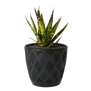 Form Plastic Plantenpot/bloempot New Age - kunststof - zwart - D17 x H15 cm