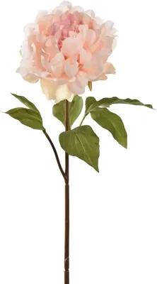 Pure Royal kunsttak pioenroos 57cm crème roze