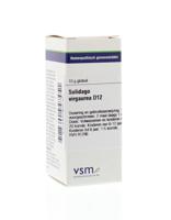 VSM Solidago virgaurea D12 (10 gr) - thumbnail