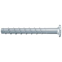 Fischer FBS II 6x60/5 P BETONSCHROEF 100 St - 546380 - thumbnail