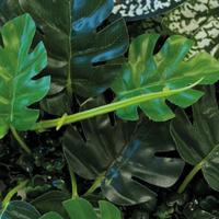 Repto Aquadistri plant achterwand mat 25x25 cm 3 - Aquadistri Repto Aquadistri plant achterwand mat 25x25 cm 3 - Aquadistri