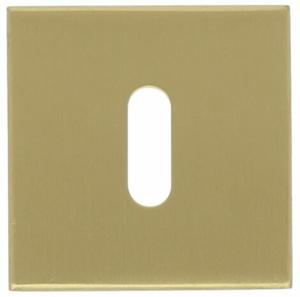 FORMANI Sleutelplaatje BASIC BSQN53 PVD mat goud