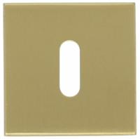 FORMANI Sleutelplaatje BASIC BSQN53 PVD mat goud