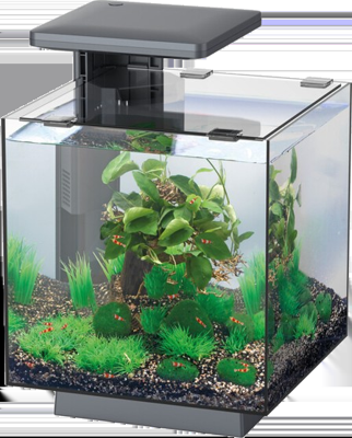 Superfish QubiQ 15 LED Zwart