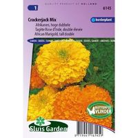 Tagetes Erecta zaden Crackerjack afrikaan - thumbnail