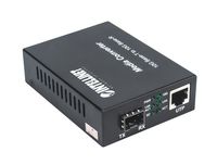 Intellinet 508193 netwerk media converter 10000 Mbit/s Zwart - thumbnail