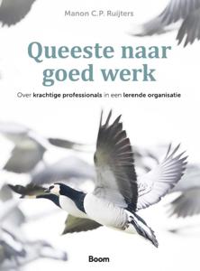 Queeste naar goed werk (Paperback)