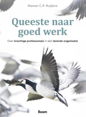 Queeste naar goed werk (Paperback)