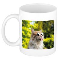 Dieren foto mok gekke poes - katten beker wit 300 ml