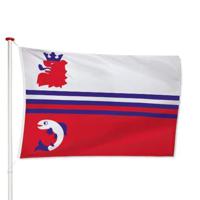 Vlag Neerijnen