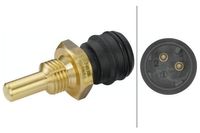 Temperatuursensor 6PT009107491