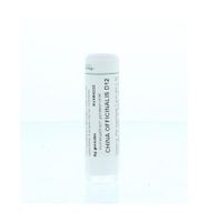 China officinalis D12