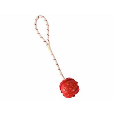 Hondenspeelgoed Trixie Natuurlijk rubber Ø 7 × 35 CM