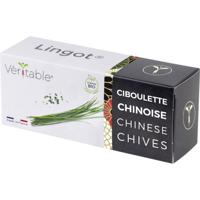 Veritable Indoor Garten navulpak Lingot Chinesischer Schnittlauch - Organic 128 mm 1 stuk(s)