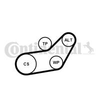 Waterpomp + Multi V-riemset CONTINENTAL CTAM, u.a. für VW, Seat