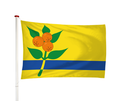 Vlag Oranjewoud - Oranjewald (fr)
