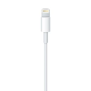 Apple origineel Lightning-naar-USB-kabel (1,00 m) MD818ZM/A - MD818ZM/A