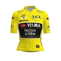 Team Visma | Lease a Bike