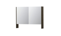INK SPK3 spiegelkast met 2 dubbel gespiegelde deuren, open planchet, stopcontact en schakelaar 100 x 14 x 74 cm, fineer charcoal