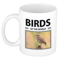 Steenuilen mok met dieren foto birds of the world - thumbnail