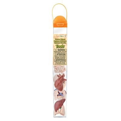 Safari Ltd Organen Toob