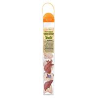 Safari Ltd Organen Toob