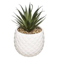 Kunstplant in Witte Ananas Pot – H21 cm