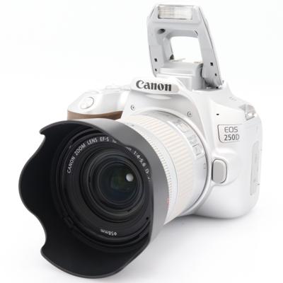 Canon EOS 250D zilver + 18-55mm f/4-5.6 IS STM SL occasion