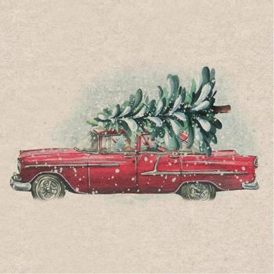 Duni Servetten everlands kunstkerstboom in auto 33cm