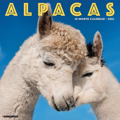 Alpacas Kalender 2026