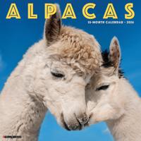 Alpacas Kalender 2026