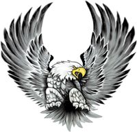 Stickerset Eagles - 2x 15x14,5cm AV106008 - thumbnail