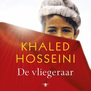 De vliegeraar