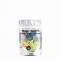 Kiddi Magic Mini's - Oceaan