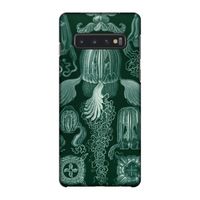 Haeckel Cubomedusae: Samsung Galaxy S10 4G Volledig Geprint Hoesje