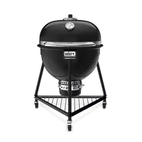 Weber Summit kamado e6